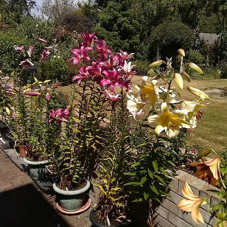 Cherry Garden B&B Folkestone Dış mekan fotoğraf