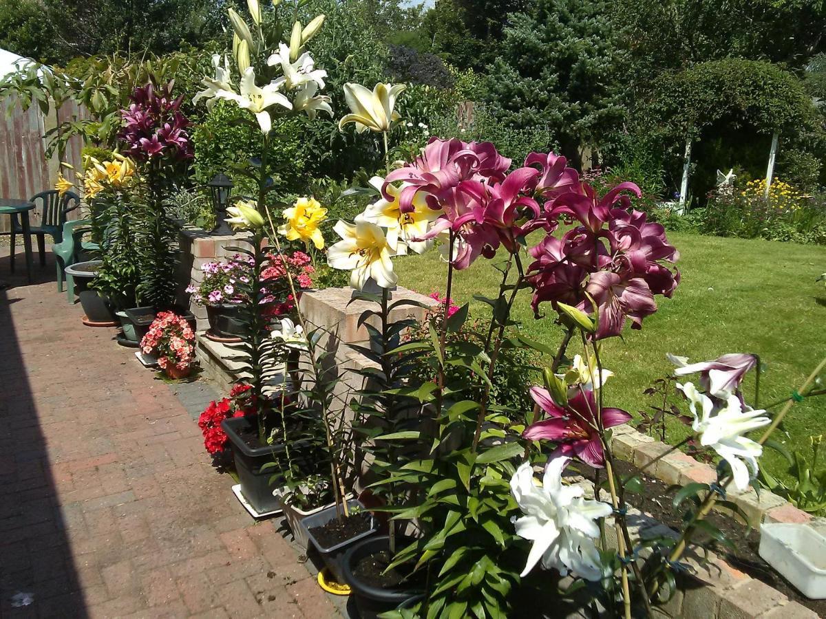 Cherry Garden B&B Folkestone Dış mekan fotoğraf