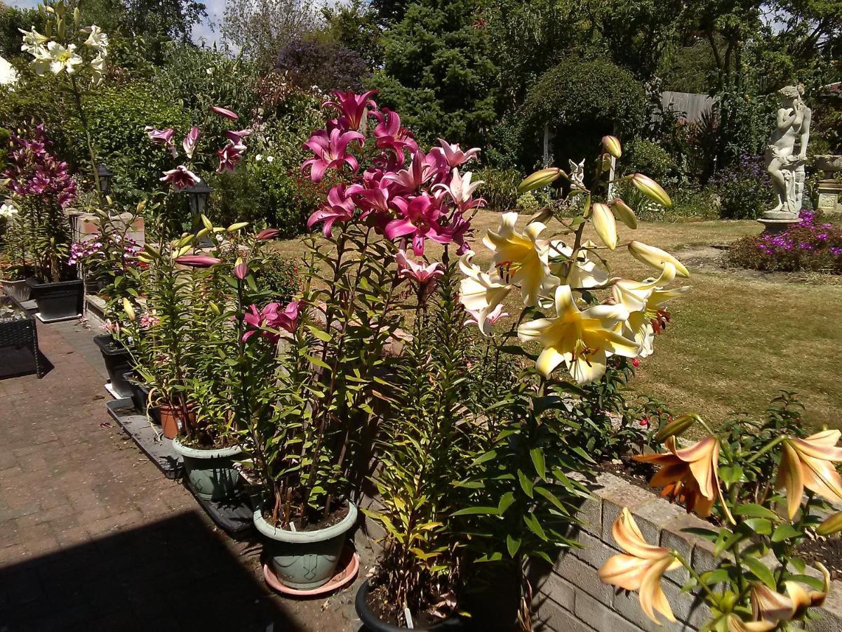 Cherry Garden B&B Folkestone Dış mekan fotoğraf